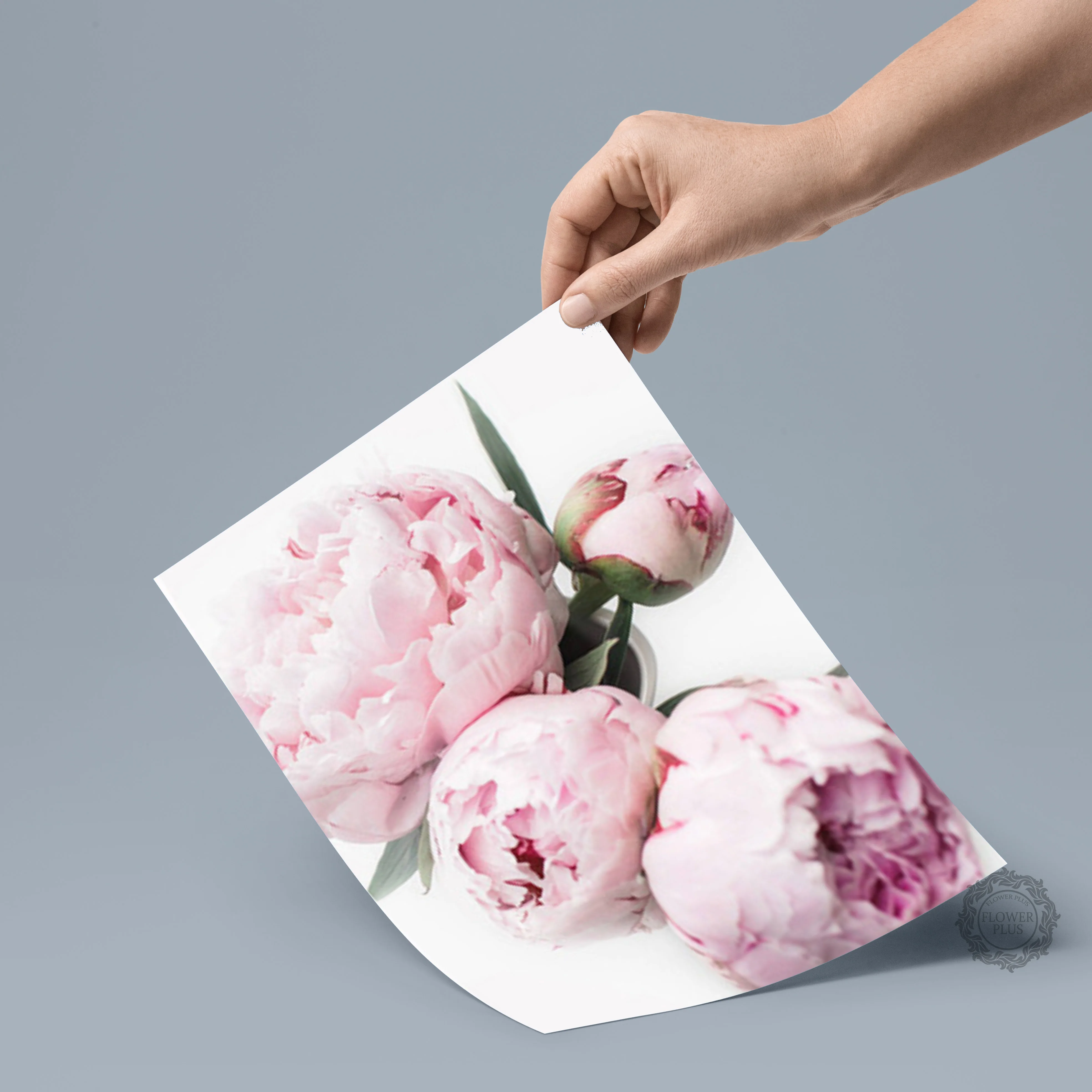 

Nordic Minimalist Posters and Prints Pink Peony Flower Kids Room Decor Canvas Painting Wall Art Picture for Living Room No Frame