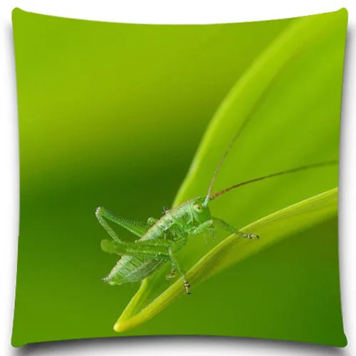 Наволочка из хлопка и полиэстера для дивана автомобиля украшение дома