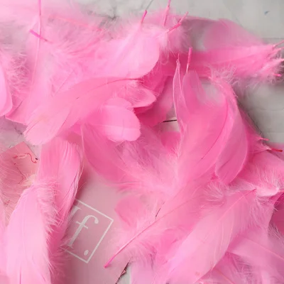 Pink Рафинированные высококачественные натуральные перья цветные маленькие гусиные перья 3-8 см реквизит для фотосъемки фон DIY Украшение - Цвет: Pink