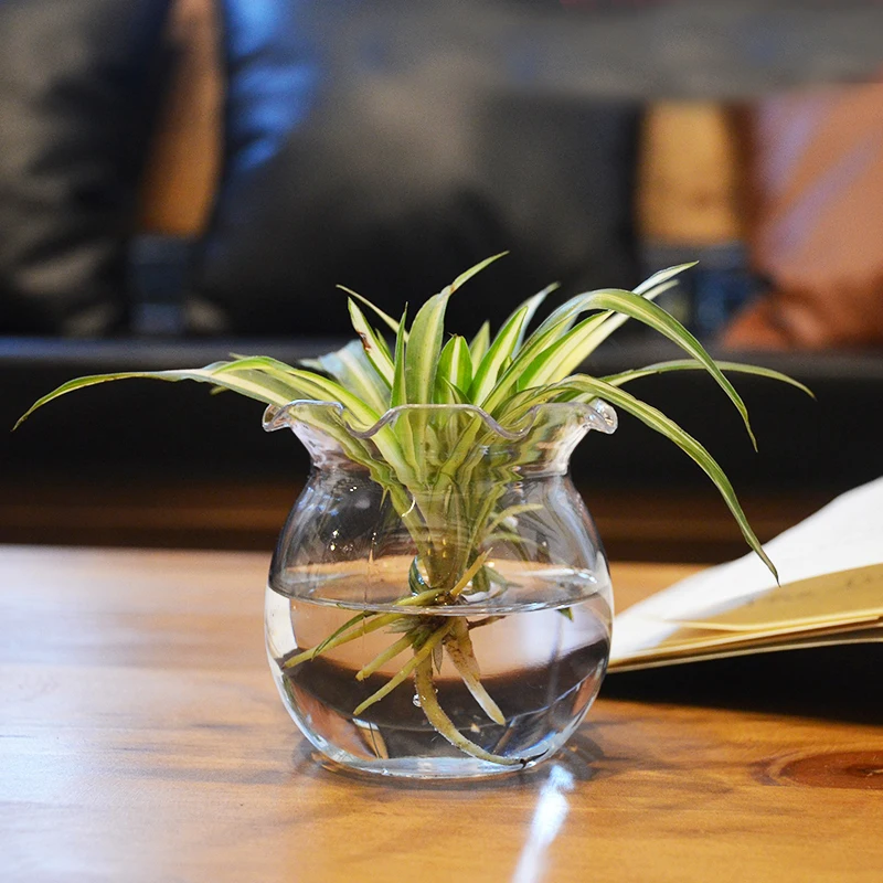 Креативная пластиковая чистая вода культура растения ваза Настольная Ваза