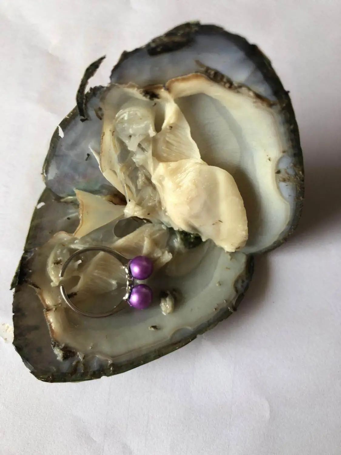 Fortune пресной воды устрицы со случайными из стерлингового серебра и ремешком