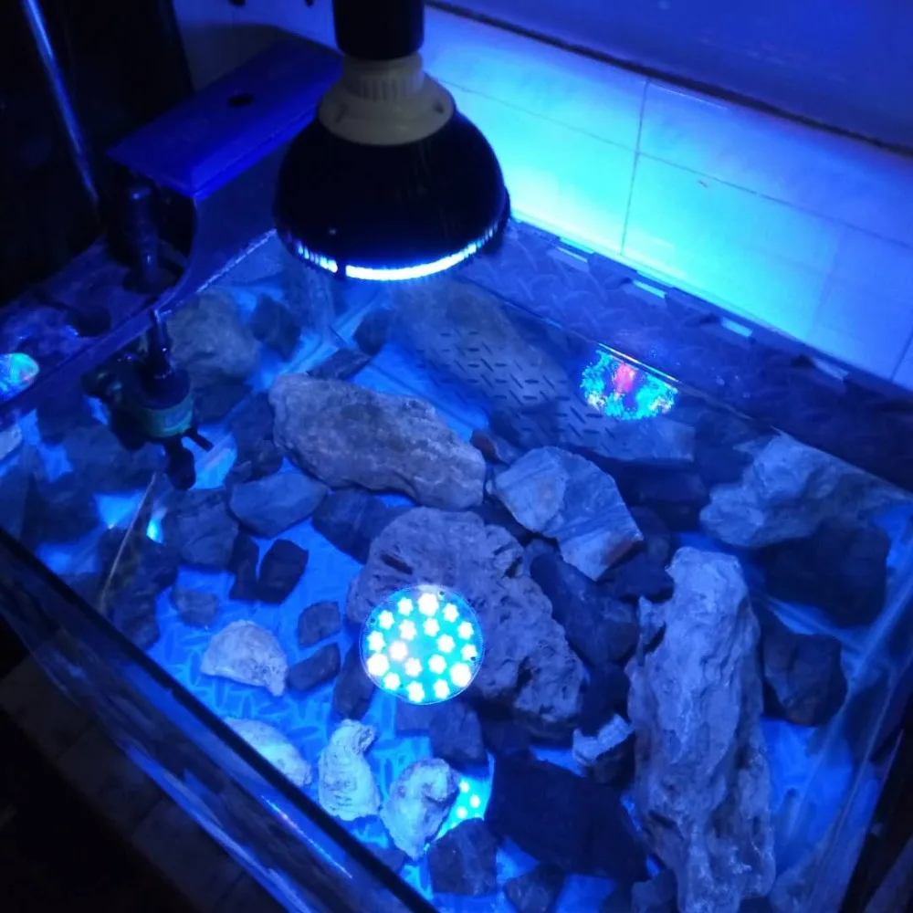 Black spotlight LED Aquarium light led pet Lighting fish tank lamp plant bulb 50/54W for saltwater marine coral reef sump algae