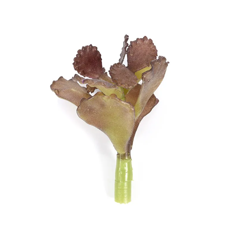 Мини кукурузный Мак искусственные суккуленты для рукоделия флористика