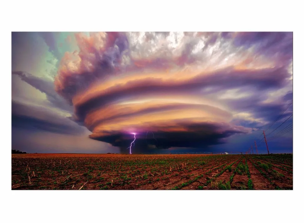 1 Панель Холст Настенная картина пейзаж холст молния деревья парк натуральная