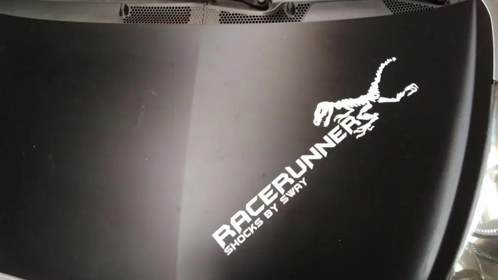 NetCat/racerunner удары по sway Автомобильная наклейка/водонепроницаемая/Автомобильная