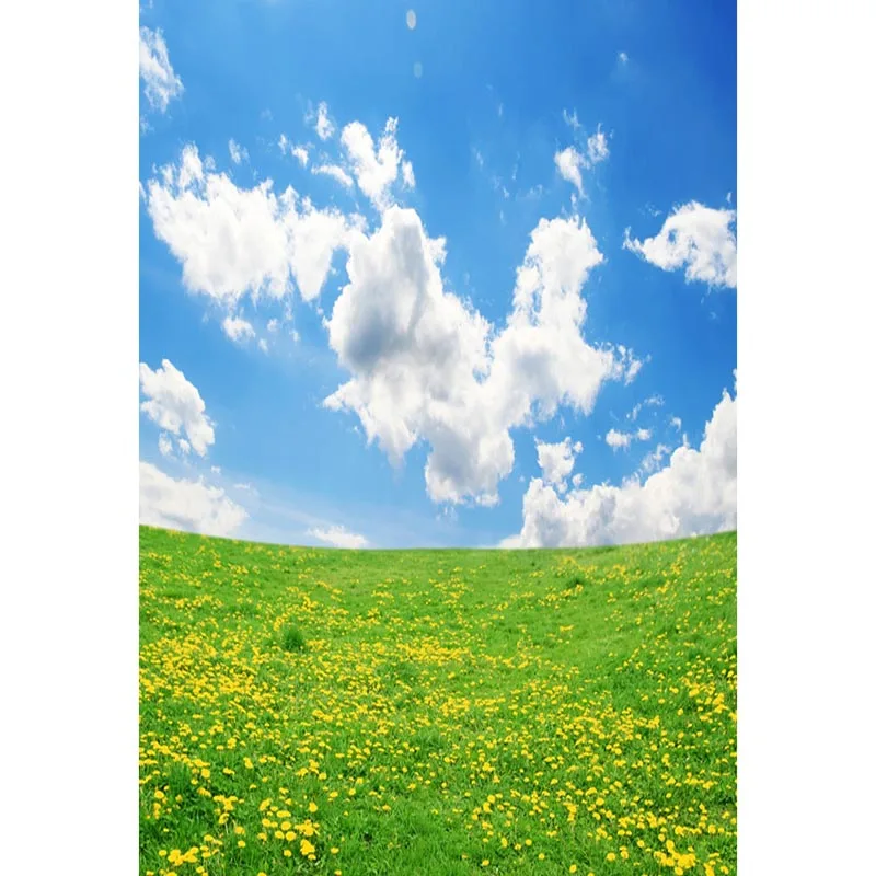 Фон MEHOFOTO для фотостудии Фотофон весенний пейзаж голубое небо фотобудка фон