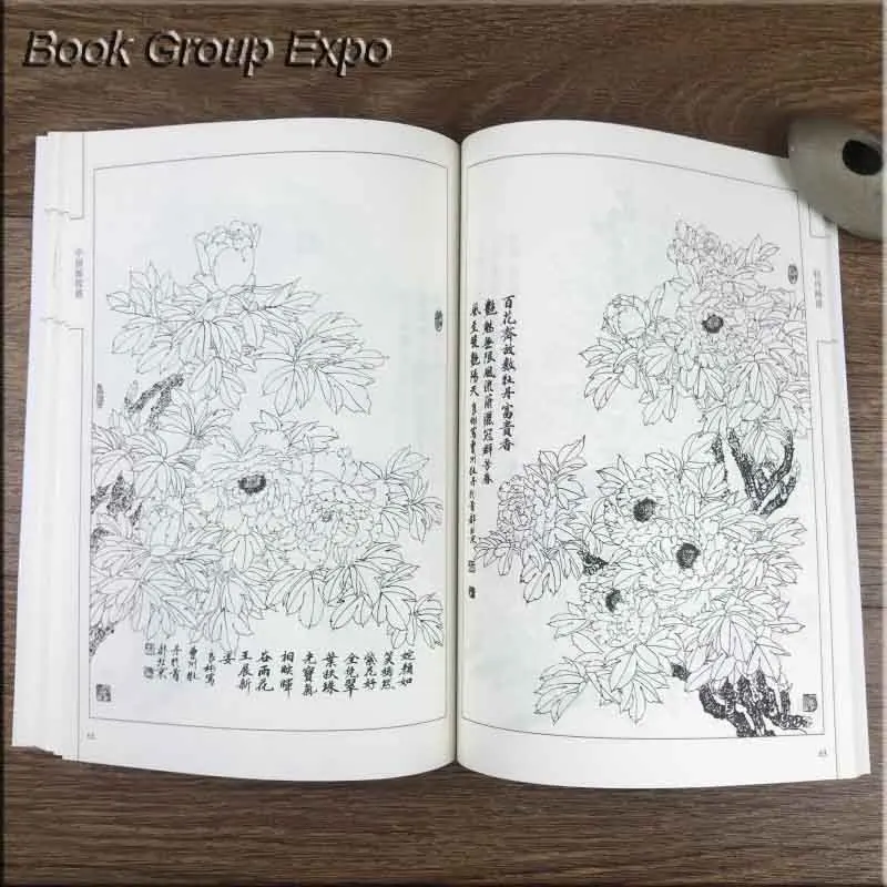 Сто фотографий цветочного пиона традиционный китайский Bai Miao Gong Bi рисование