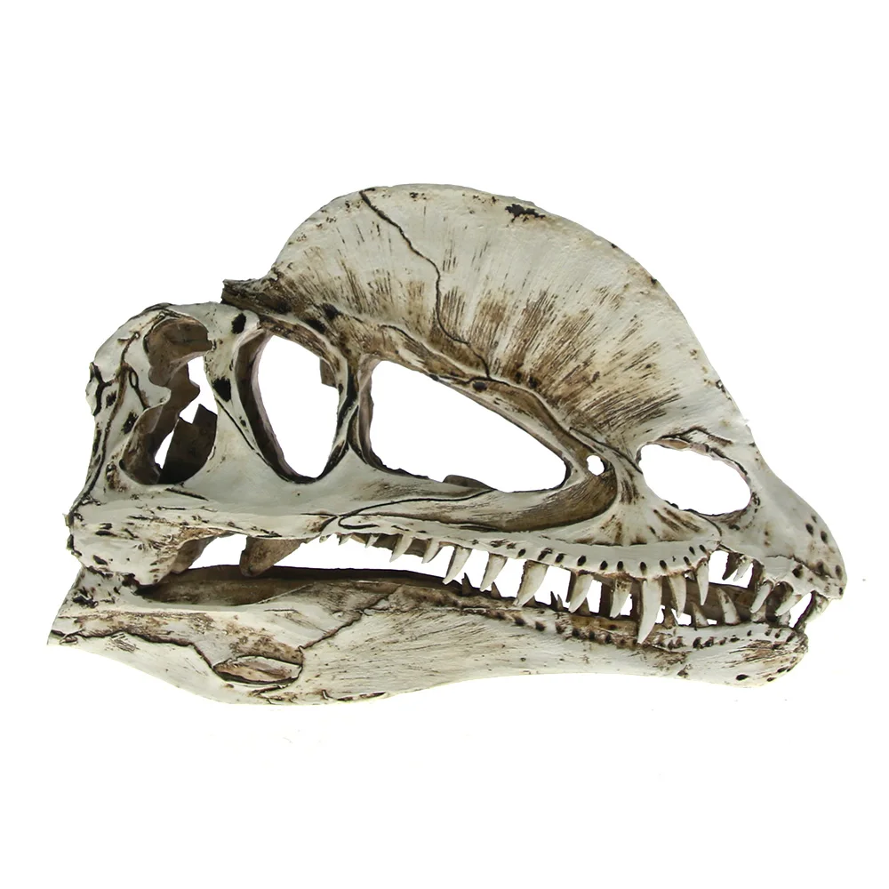Двойной дракон гребень череп динозавра обучающая модель орнамент Ceratosaurus Смола дилофозавр голова Скелет аквариум домашний декор