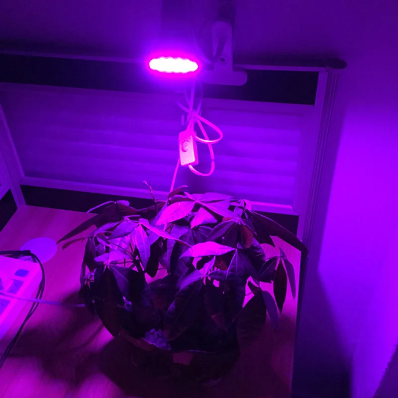 60 led светильник для выращивания растений, лампа 5 Вт E27, светильник для выращивания s, зажим для лампы, держатель для гидропоники, Цветение цветов, растение, для помещений, зеленый дом