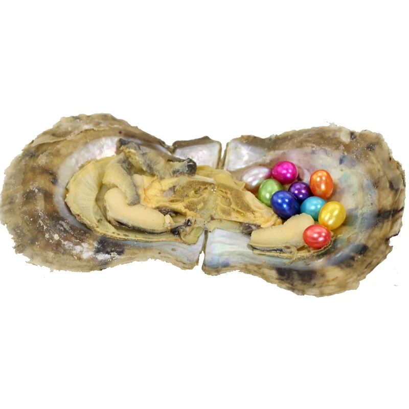 5pcs Vacuum Packed Oyster Fashion Saltwater Mini Monster with Multiple Pearls 3-10 Colored Rice Oval Akoya ABH834 | Украшения и