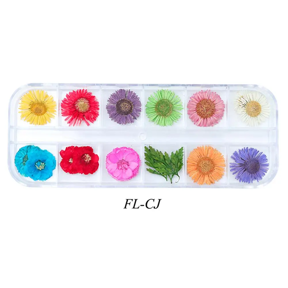 FLCJ 12 цветов, аксессуары для ногтей, украшения для ногтей, сушеный цветок, 3D Маникюр, лак для ногтей, УФ-клей, цветочный лист, смешанный сухой цвет - Цвет: FLCJ