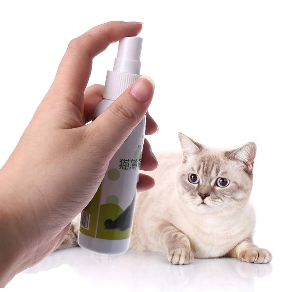 Кошка кошачья мята натуральная здоровая кошка забавная игрушка спрей против