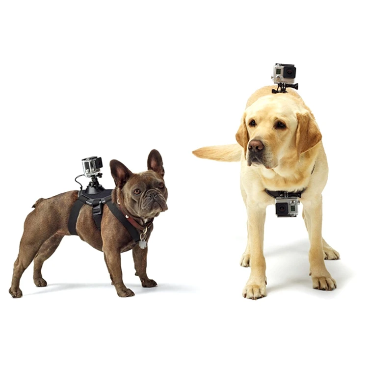 

Dog Harness Chest Mount for Gopro hero 9 8 7 6 5 4 3+ Go pro camcorder Hound Pets Chest strap belt SJCAM SJ4000 Xiaoyi 4K Camera