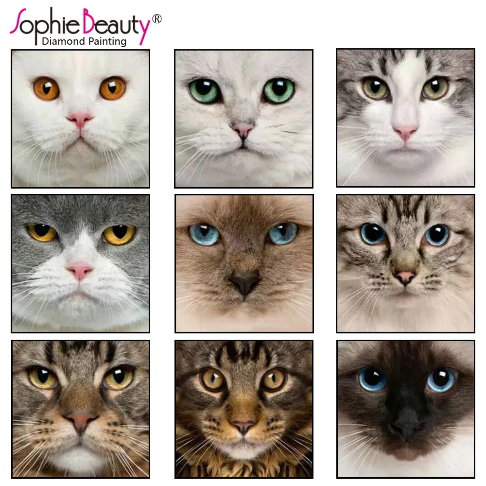 Картина из страз 5D сделай сам с изображением животных вышивка крестиком Кот