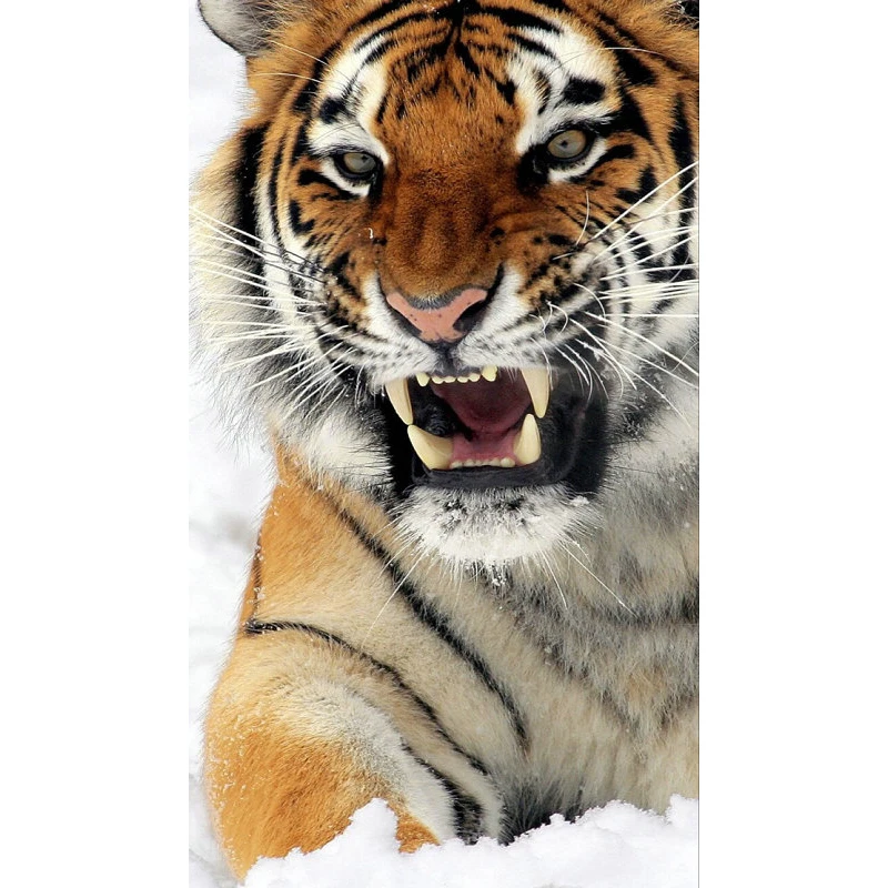 

YIKEE diamond painting tiger,diamond painting children,5d diamond embroidery K170