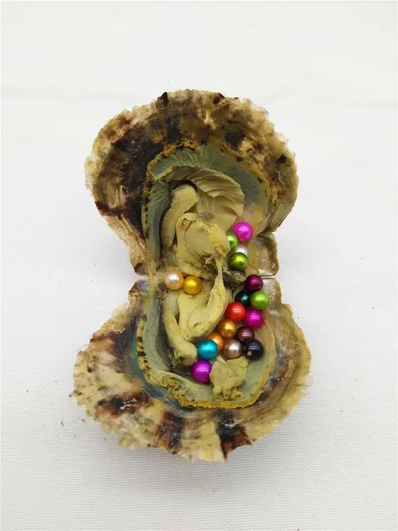 5 шт./лот Oysters Akoya с морской водой 10 круглыми жемчужинами внутри AAA цветные круглые