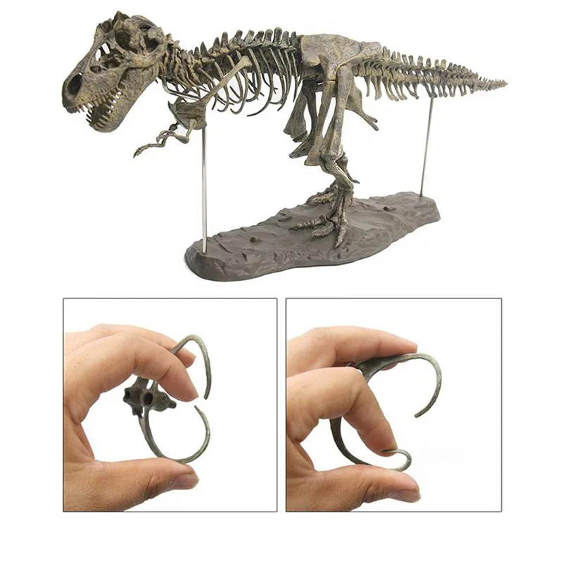 4D динозавр Fossil Skull модель игрушки 28 &quot/70 см Собранный кости наборы скелет