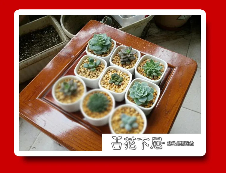 Креативные простые белые мини кастрюли керамический горшок маленький