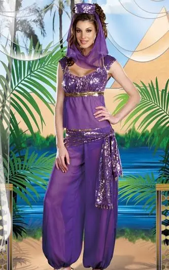 Sexy Dance Costumes Women Free Shipping High Quality Beautiful Carnival Costume Genie India Bell Dance Costumes For Women 3S1222