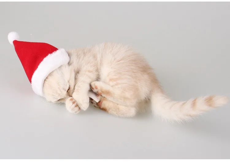 1 комплект, Рождественская шапка, шарф для кошек, маленьких собак, рождественские товары для домашних животных, зимняя одежда для щенков