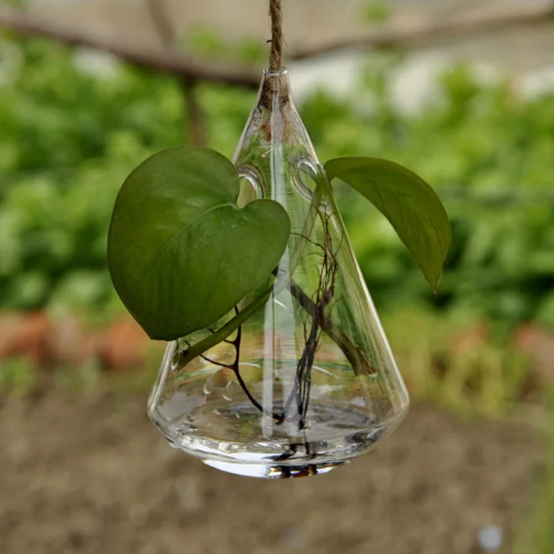 1 шт. Оригинальный Геометрический Прозрачное Стекло Висячие Ваза Завод Цветок