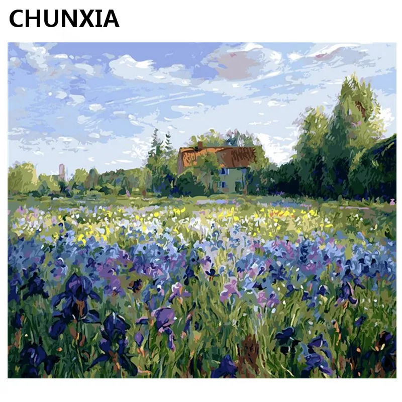 CHUNXIA покраска по номерам DIY обрамленные картины из масляной краски для рисования