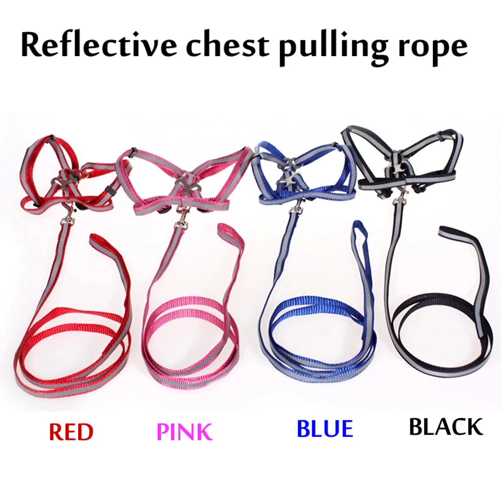Отражать Свет Функция Классический Домашних Собак грудь жгут Поводок набор Pet