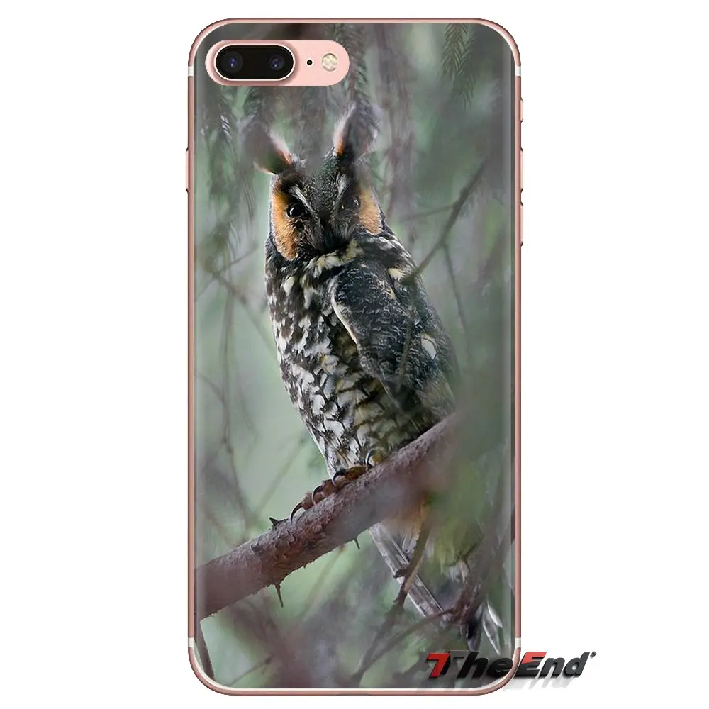 Long Eared Owl Asio otus Transparent Soft Cases Covers For Samsung Galaxy A3 A5 A7 A9 A8 Star A6 Plus 2018 2015 2016 2017 |