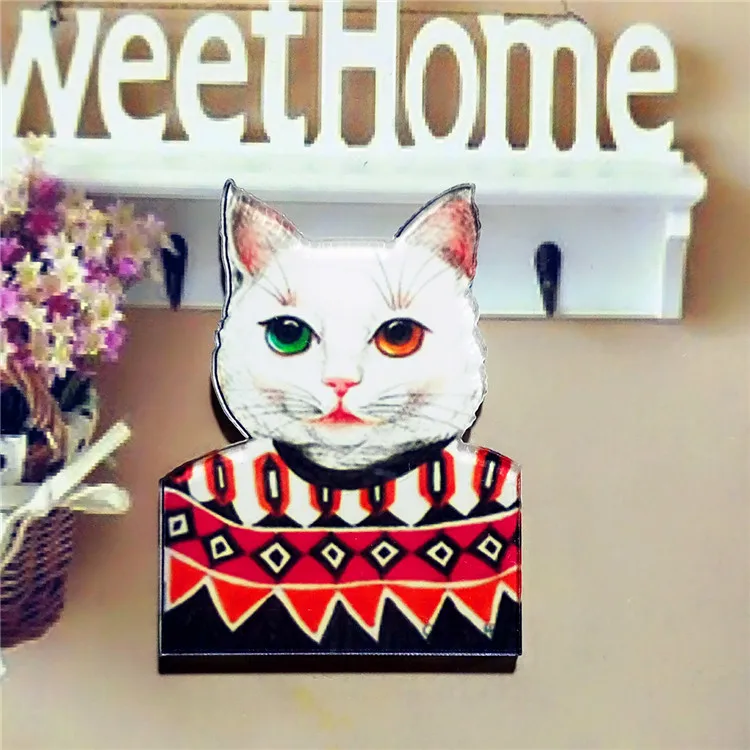 1 шт Meow Star People акриловая брошь значки Pin рюкзак для женщин и мужчин Одежда булавка
