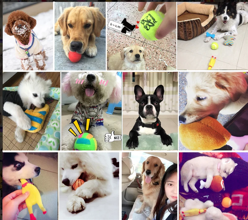 Petcircle Новые поступления узел собака игрушки прочный летающие диски игрушка для
