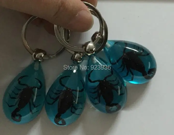 10 PCS Real Dark Black Scorpion Insect Aqua Blue Resin Specimen Keychain | Украшения и аксессуары