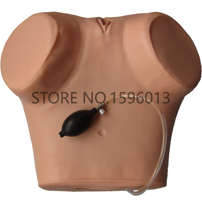 Гинекологический симулятор обследования тренировочный манекен модель анатомии