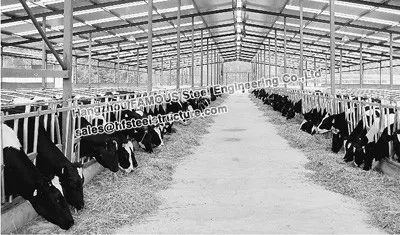 Горячая Распродажа карниз для птицы из стали|poultry|poultry sale |