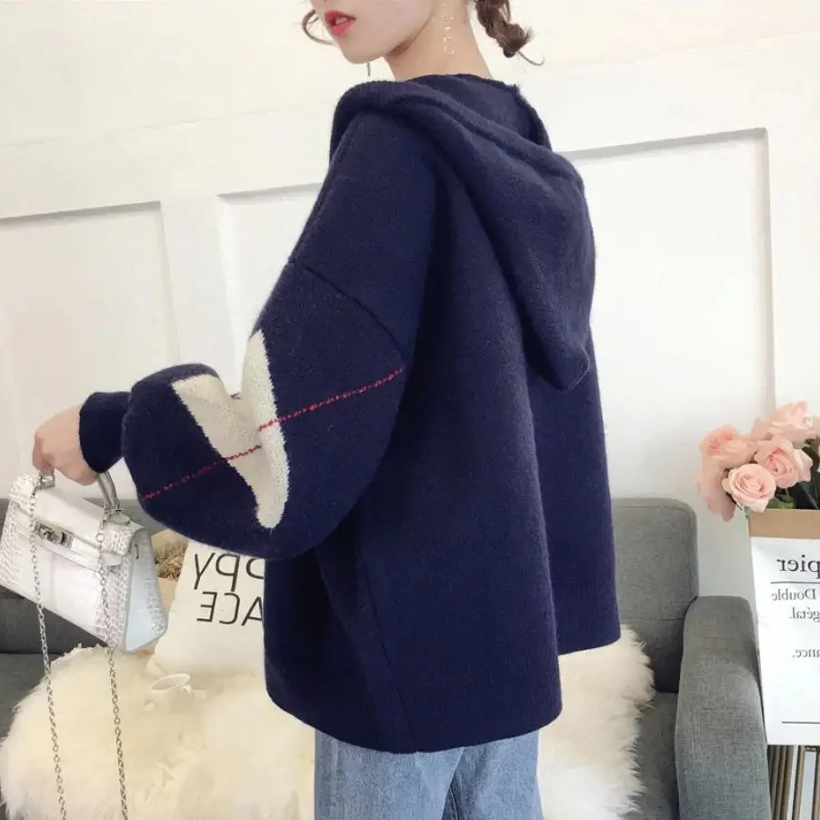 Short Thick Knit Cardigan 2019 New Loose Hooded Zipper Sweater Coat Female |