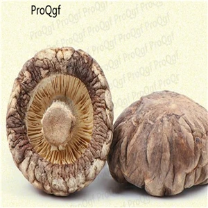 Lentinus edodes 50 грамм триголома тремелла термиторни спарассис Saarcodon Pholiota Panellus Morchella Lentinus Hericium Dictyophora - Цвет: Lentinus edodes