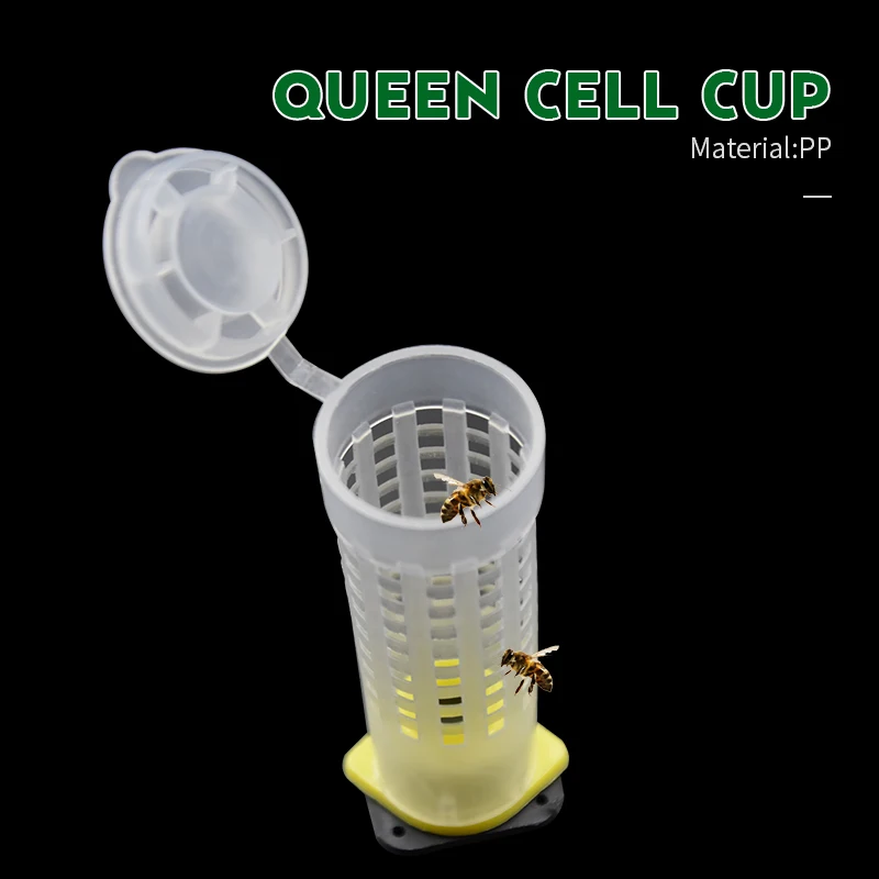 

Brand 10pcs Lightweight Plastic Queen Cell Cup Beekeeping Tools cages bee plastic plastic mugs beekeeper tools equipment