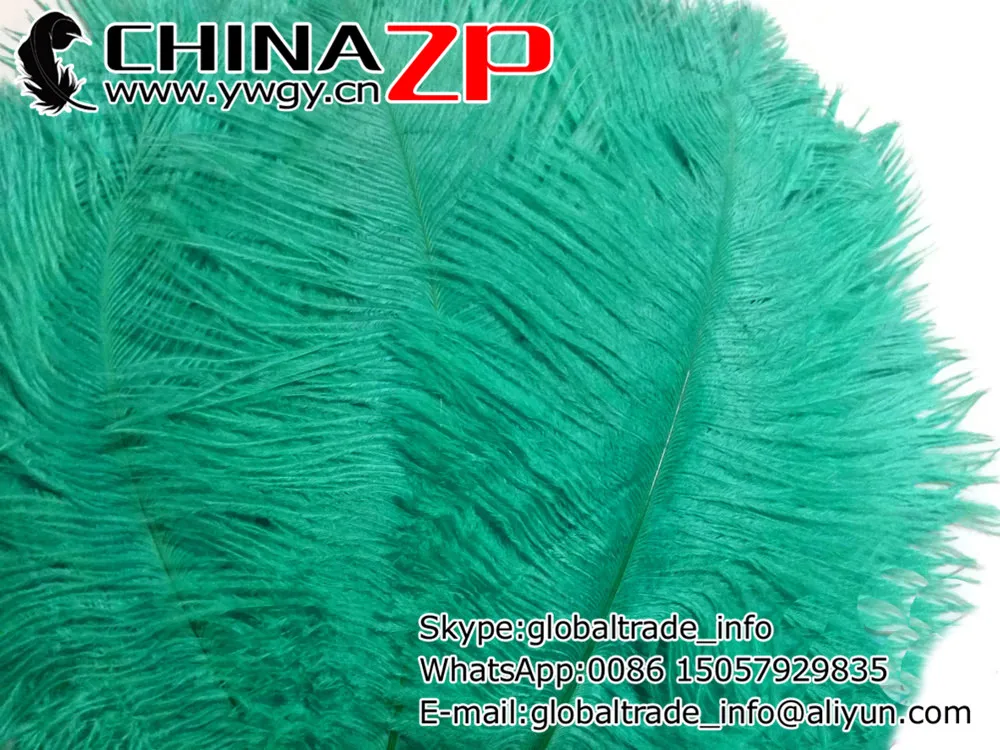 CHINAZP Factory Size 35-40cm(14-16inch) Wholesale 500pcs/lot Dyed Aqua Green Ostrich Feathers for Christmas Decorations | Дом и сад