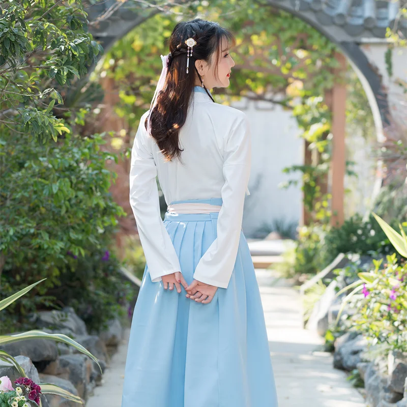 Chinese Style Women Hanfu Costume Embroidery Slim Ancient Traditional Elegant Tang Dynasty Princess Wear DL3760 | Тематическая