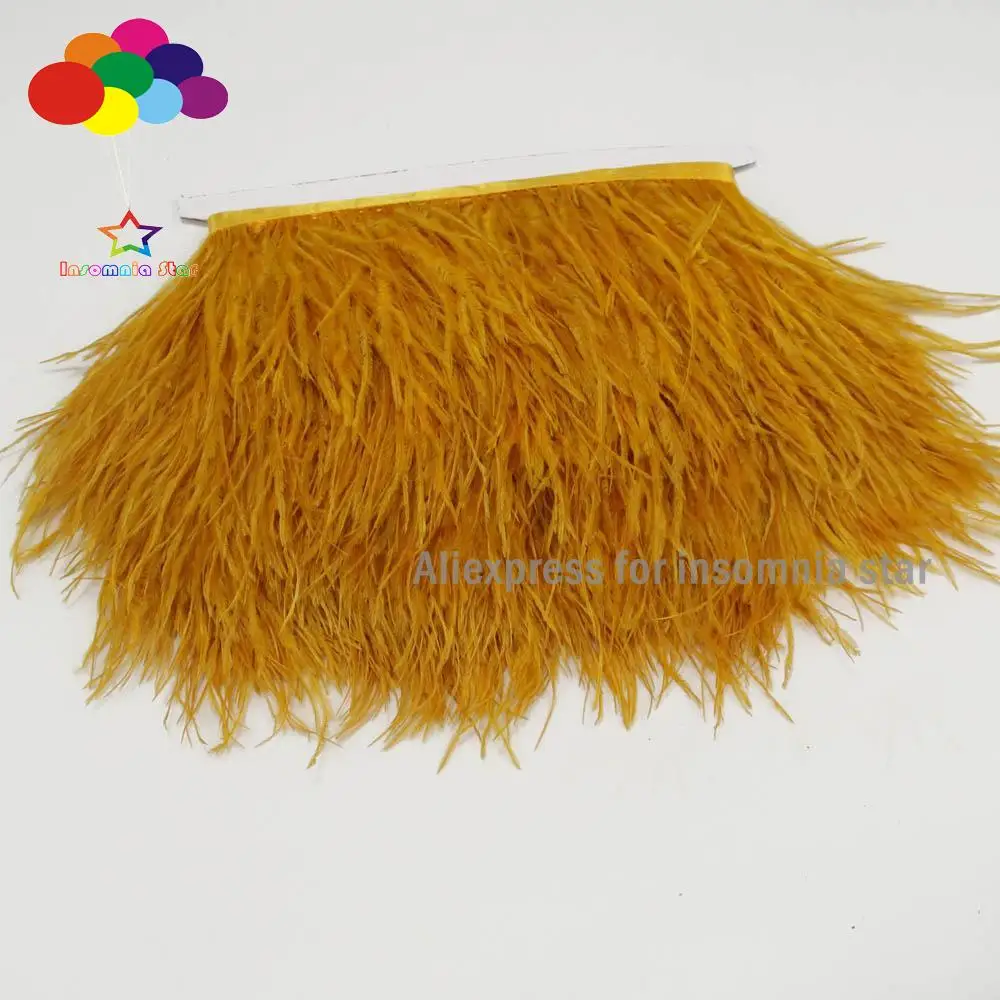 

Fashion Dress Curry Crafts Costumes Decoration Ostrich Feathers Trims Fringe