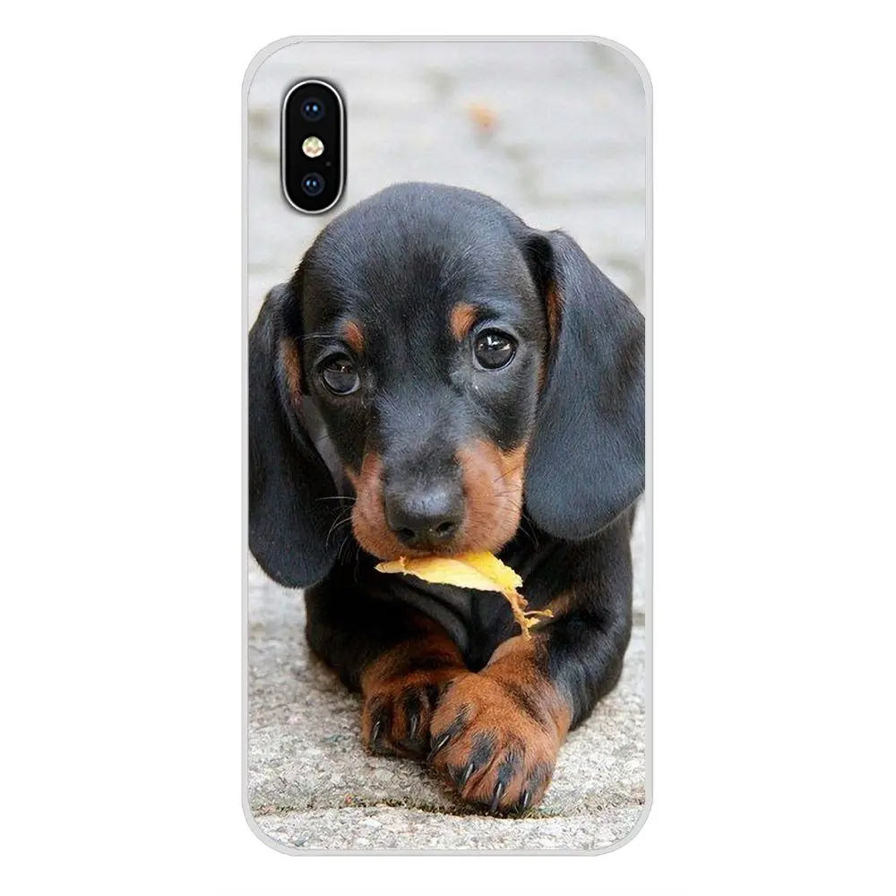 images 10 Мягкий прозрачный чехол, чехлы для huawei P Smart mate Honor 7A 7C 8C 8X9 P10 P20 Lite Pro Plus, милые животные, щенок таксы - Цвет: images 10