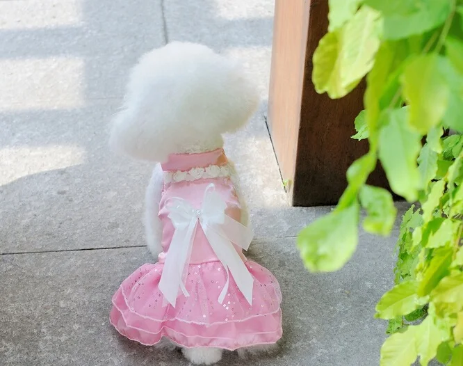 Y07 Wedding Dog Dress Pets Dogs Clothes Sweaty Puppy dog Cats Princess Bowknot Floral Tutu Skirt Costume for Yorkshir | Дом и сад