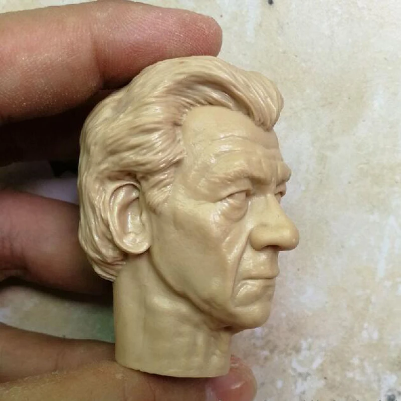 Пустые Популярные неокрашенные намагниченные головки в масштабе 1/6 для пожилых