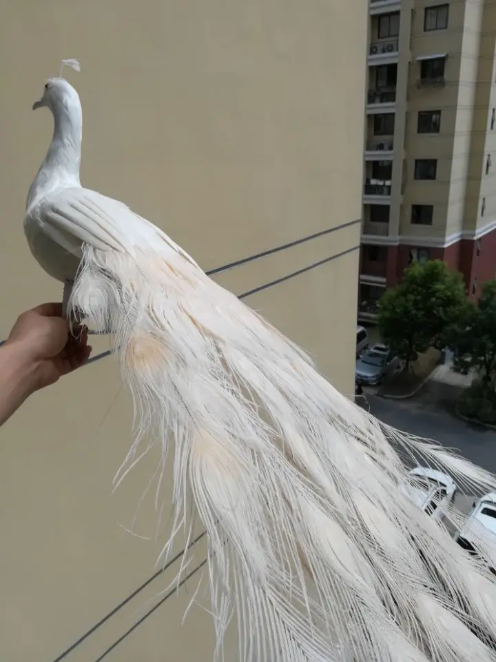 real life Bird white feathers Peafowls large 120cm peacock home garden decoration filming prop gift h1489 | Игрушки и хобби
