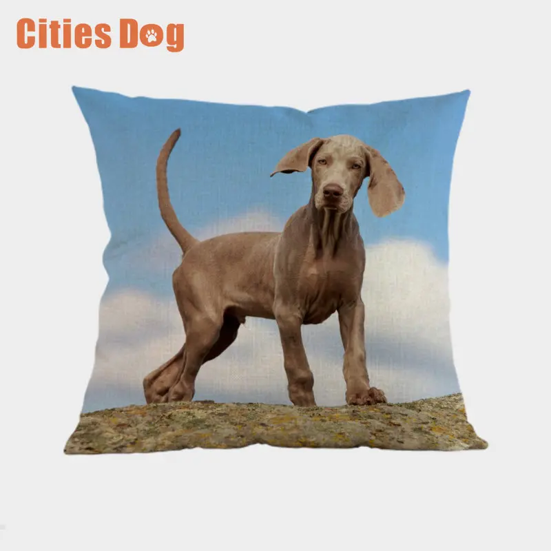 YDQ0059 Weimaraner декоративные подушки Чехол для собак cojines размером 45*45 см decoracion с рисунком собак из пледы чехол для подушечки в машину подушки - Цвет: YDQ0059