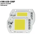 2 шт. чип для светодиодной лампы COB 20 Вт 30 Вт 50 Вт светодиодный чип 230 В вход IP65 Smart IC подходит для DIY светодиодный прожектор холодный белый теплый белый