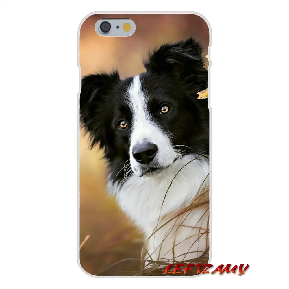 Чехол для мобильного телефона Xiaomi Redmi Note 6A MI8 Pro S2 A2 Lite Se MIx Max 2 3 F1 Oneplus 6T Border Collie lovely