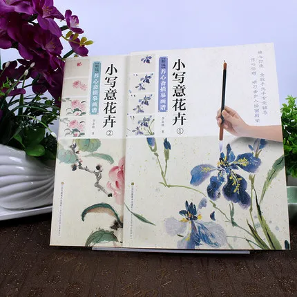 2 шт./компл. Китайская традиционная тонкая линия gongbi biao miao художественная книга