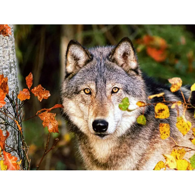 Новинка 5d алмазная вышивка сделай сам волк 3D живопись крестиком животное полная