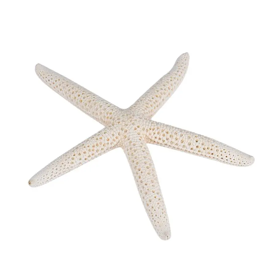 

1 Piece 10-12cm Natural Material White Natural Finger Sea Star Wonderful Decorations Wedding Decor YH-460334