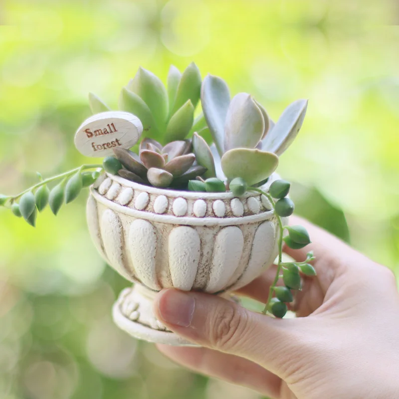 Креативный милый мини горшок для цветов мульти мясо завод Смола личность